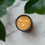 Load image into Gallery viewer, Eucalyptus + Lavender - Signature 3-Wick Candle
