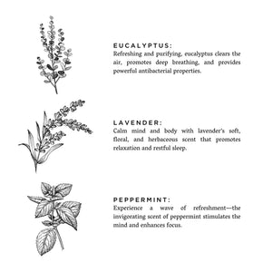 Of The Sea - Eucalyptus + Lavender + Peppermint