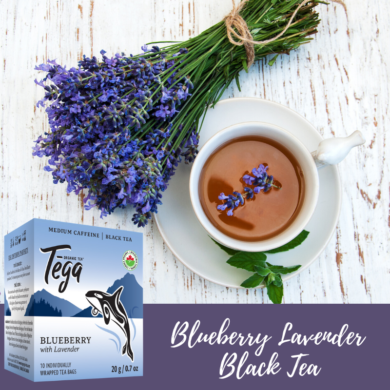 Tega West Coast Tea Sampler - Free with a $50 order