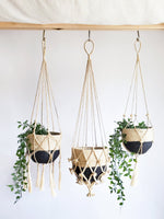 Load image into Gallery viewer, Plant Hanger - Shuly
