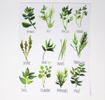 Load image into Gallery viewer, All about Herbs! Art Print- 11x14in, Food Art, Home Decor, Kitchen Decor, Simple Design
