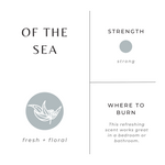 Load image into Gallery viewer, Of The Sea - Eucalyptus + Lavender + Peppermint
